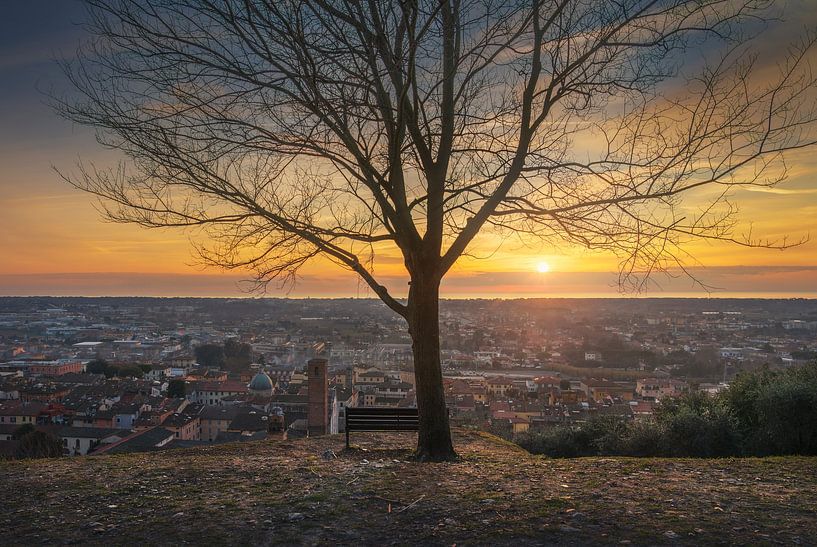 Ein Baum, eine Bank und Pietrasanta Stadtansicht, Toskana von Stefano Orazzini