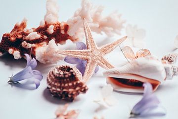 Shells, flowers and starfish by Madinja Groenenberg