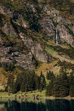 Horses, lake and waterfall in Austria by Yvette Baur