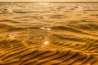 The sun dances on the lake of Hourtin-Carcans