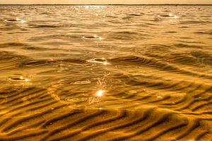 Le soleil danse au bord du lac d'Hourtin-Carcans sur Hilke Maunder