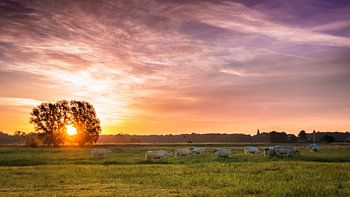 Zonsopkomst in Terwolde
