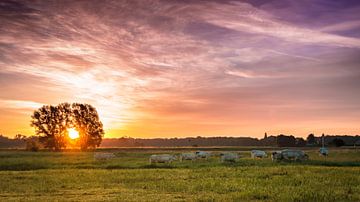 Zonsopkomst in Terwolde van Rob Sprenger