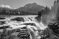 Athabasca watervallen van Eelke Brandsma thumbnail