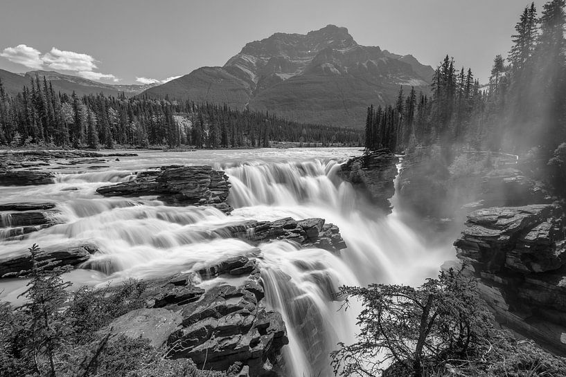 Athabasca watervallen van Eelke Brandsma