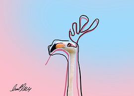 Flamant rose sur Murat Rey