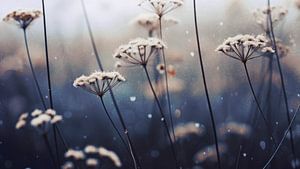 Nostalgic Nature No 15