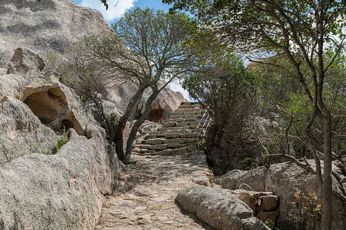 Treppe aus groben Steinen und Felsen mit Baum und Pflanzen im Garten Sardiniens in der Nähe von Palu