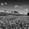 Express train in the landscape by Frank Herrmann