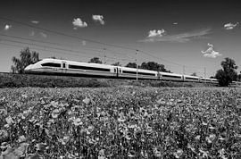 Express train in the landscape by Frank Herrmann