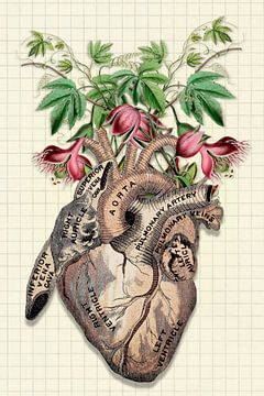 Drawings from the Heart von Marja van den Hurk