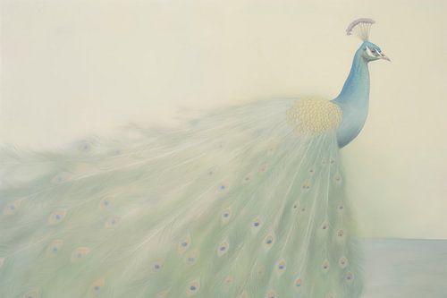 Elegant Peacock