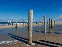 Pale Village Petten aan Zee