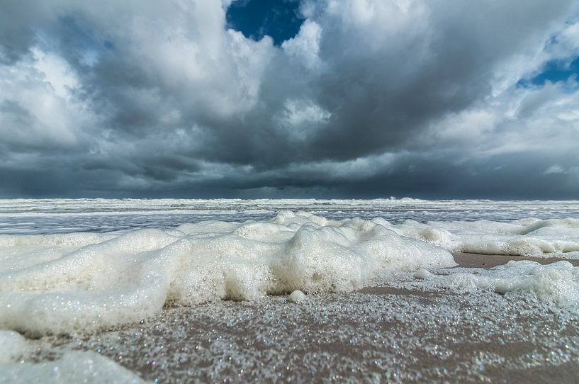 Boschplaat Zeeschuim par Albert Wester Terschelling Photography