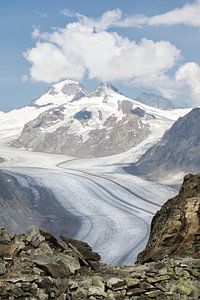 Der Aletschgletscher in der Schweiz