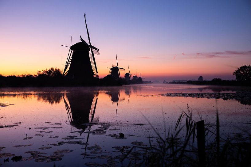 Sunrise Kinderdijk by Natasja de Nijs
