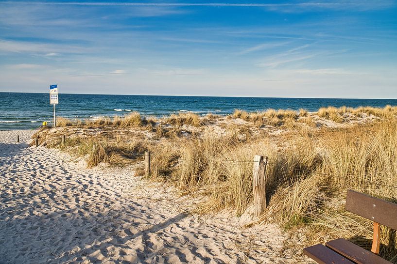 On the Baltic Sea beach with dunes by Martin Köbsch
