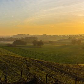 Zachte zonsopkomst Leefdaal van Manuel Declerck