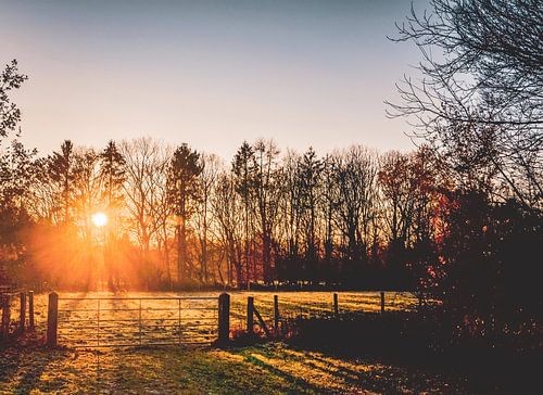 Soleil gelé du soir 2. Heure d'or en hiver.