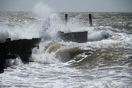 Storm aan de kust by Abra van Vossen