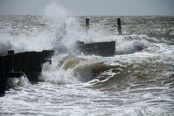 Storm aan de kust