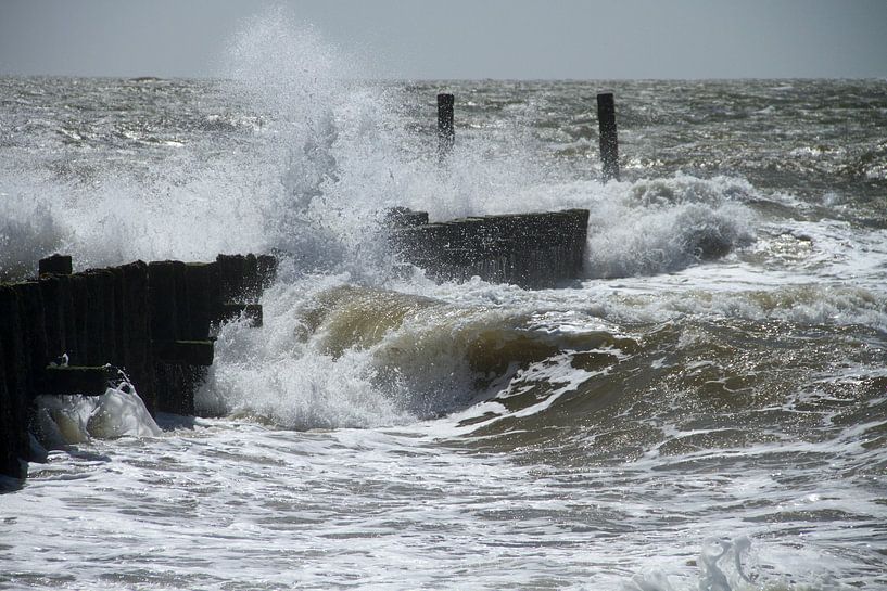 Storm aan de kust par Abra van Vossen