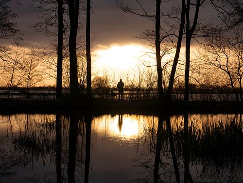 Silhouet in het avondlicht