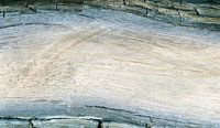 Wood structure of ancient driftwood with weathered tree bark