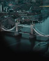 Tower Bridge Bird