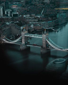 Tower Bridge Bird van Tom Derwort Photography