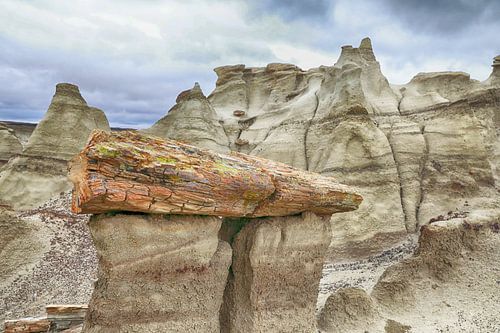 Bisti Badlands versteend hout in de winter New Mexico, VS