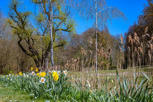 Baden-Württemberg: Perspectieven op de kasteeltuin van Lauphein