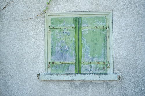 Groenblauwe luiken van Hanneke Bantje