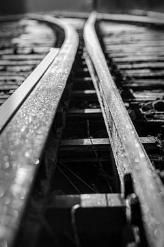 Rails by Rob Boon