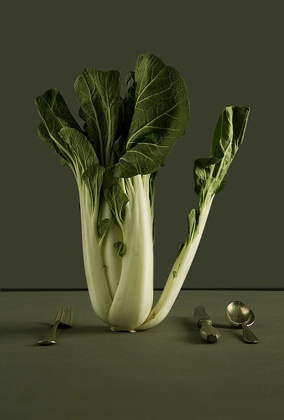 Forgotten Vegetables by Studio Loeffen