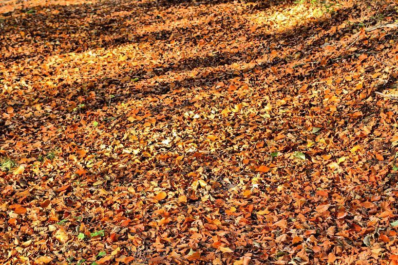 Herbst von Ines Thun