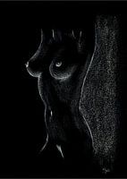 Dominique Noir