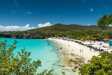 Grote Knip, Curacao