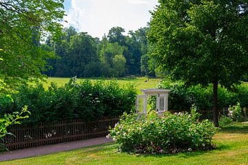 Blick von Goethes Gartenhaus zum Ilm-Park von Mixed media vector arts