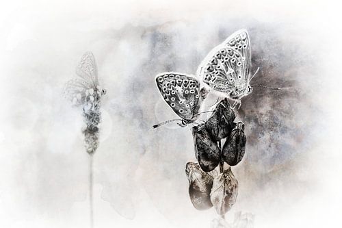 So happy together.... (2)