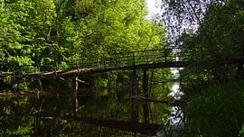 Old footbridge at a mill at the river Saalein Halle Saale in Germany