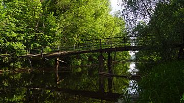 Oude loopbrug bij een molen aan de rivier de Saalein Halle Saale in Duitsland van Babetts Bildergalerie