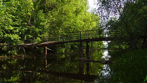 Oude loopbrug bij een molen aan de rivier de Saalein Halle Saale in Duitsland