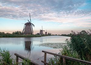 Kinderdijk van Monique Jansen