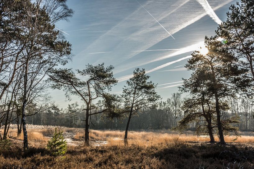 Der Deutsche in Zonhoven (B) von Martine Dignef