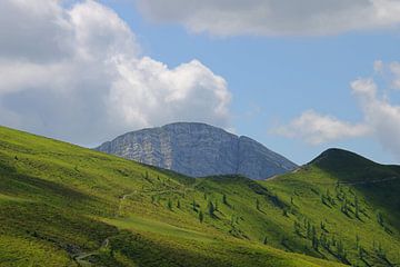 Groene bergweide in Oostenrijk van Niels van den Berg