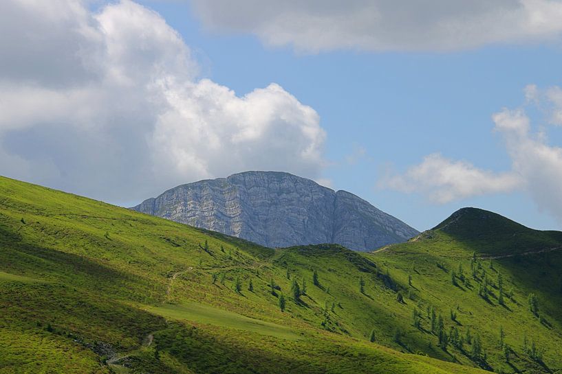 Alpages verts en Carinthie par Niels van den Berg