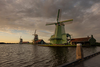 Dutch gold on the Zaan