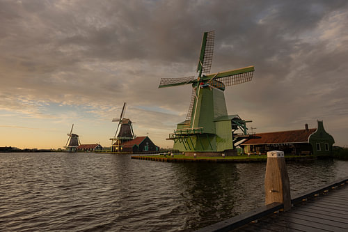 Dutch gold on the Zaan