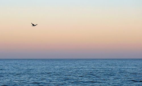 Westkust van de VS in de avond